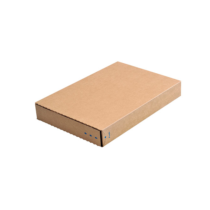 Maxibriefkarton 346 x 243 x 46 mm Packbox 40 - DIN A4