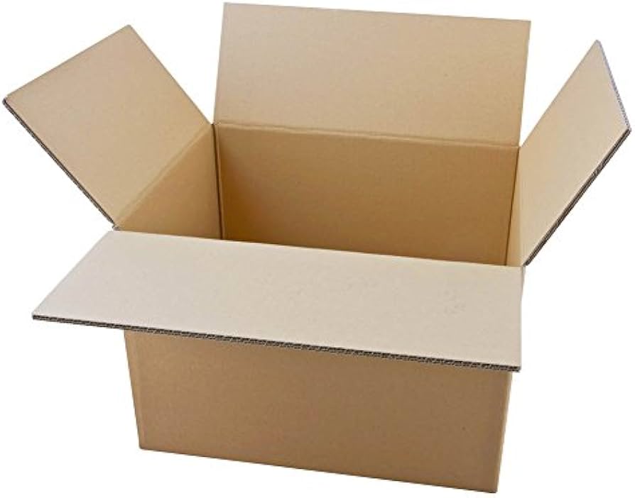 Karton 540 x 440 x 450 mm 2-wellig